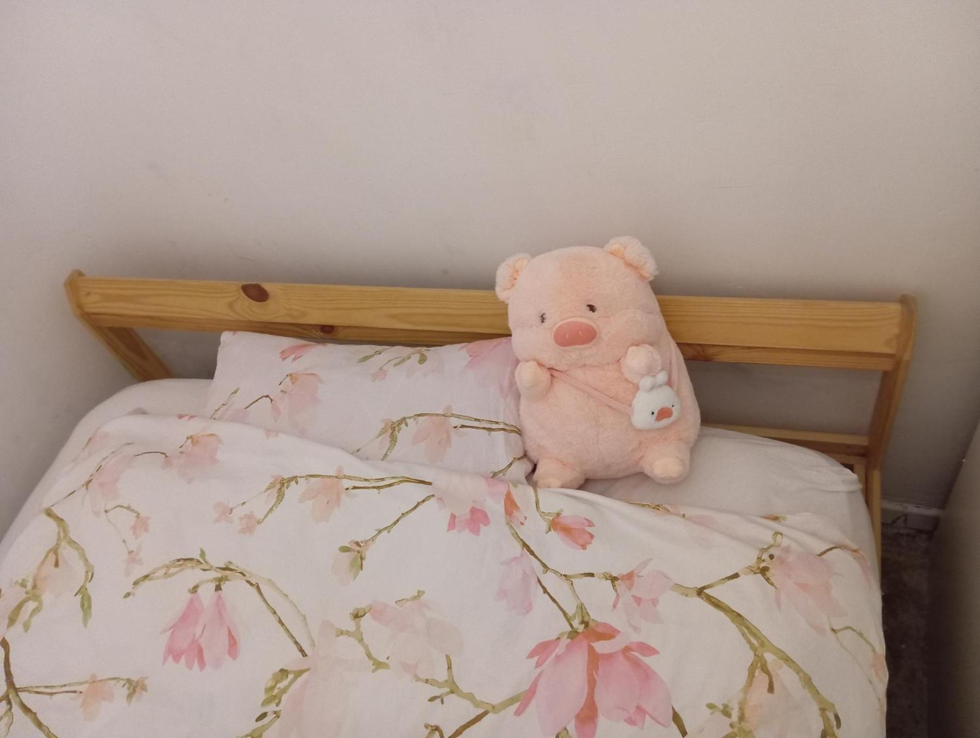 B&B Eco Cubes マドリード エクステリア 写真